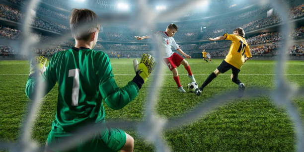 自己的未来 自己的未来