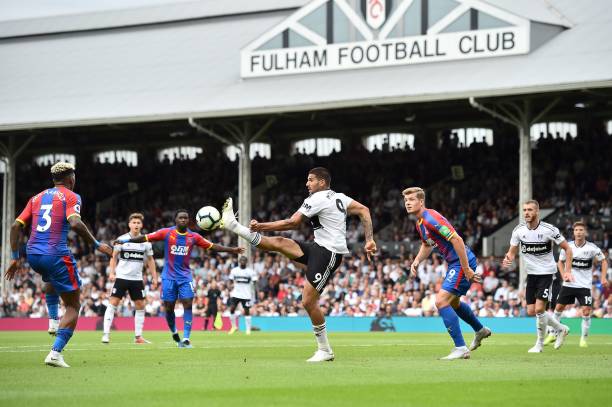 正是他们成 正是他们成