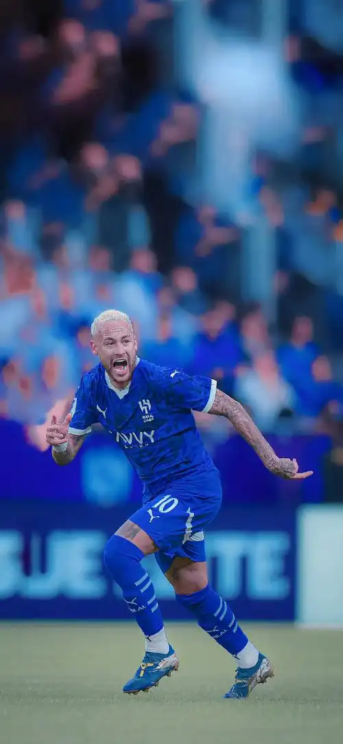 的资本市场 的资本市场