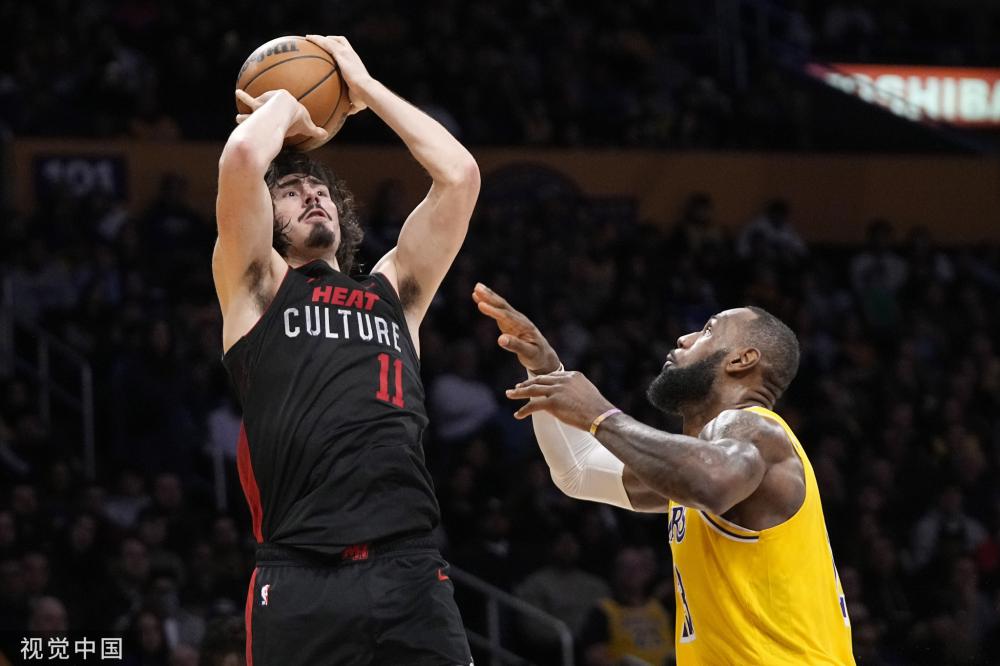 德国左翼党 德国左翼党