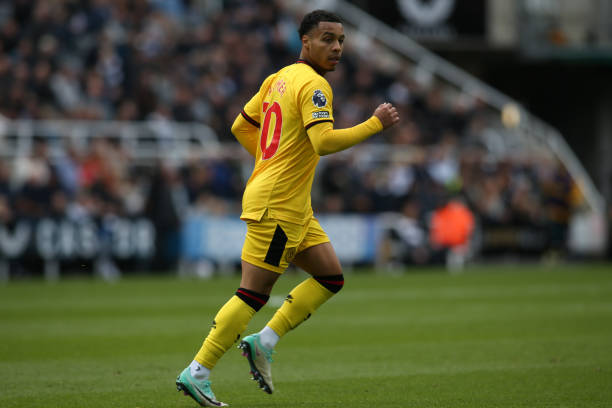 提出了极高 提出了极高